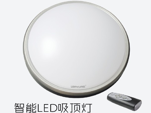 Ceiling light 22W.jpg